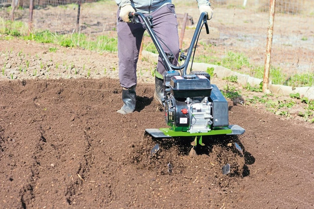 Doble excavación: por qué dejé de aplicarla para salvar mi suelo - image 1