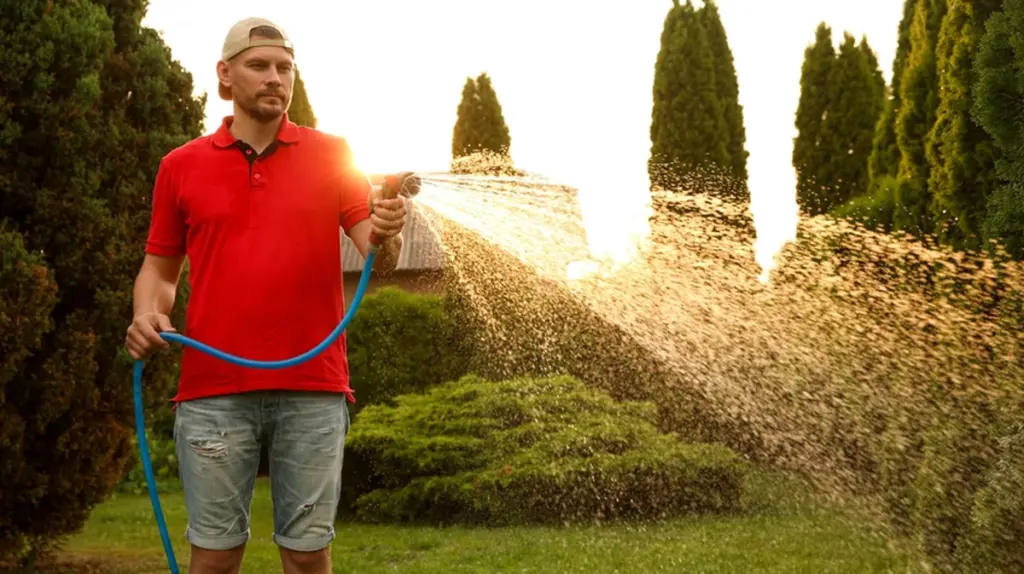 El césped se quema: el truco del Nitrógeno para salvarlo del calor