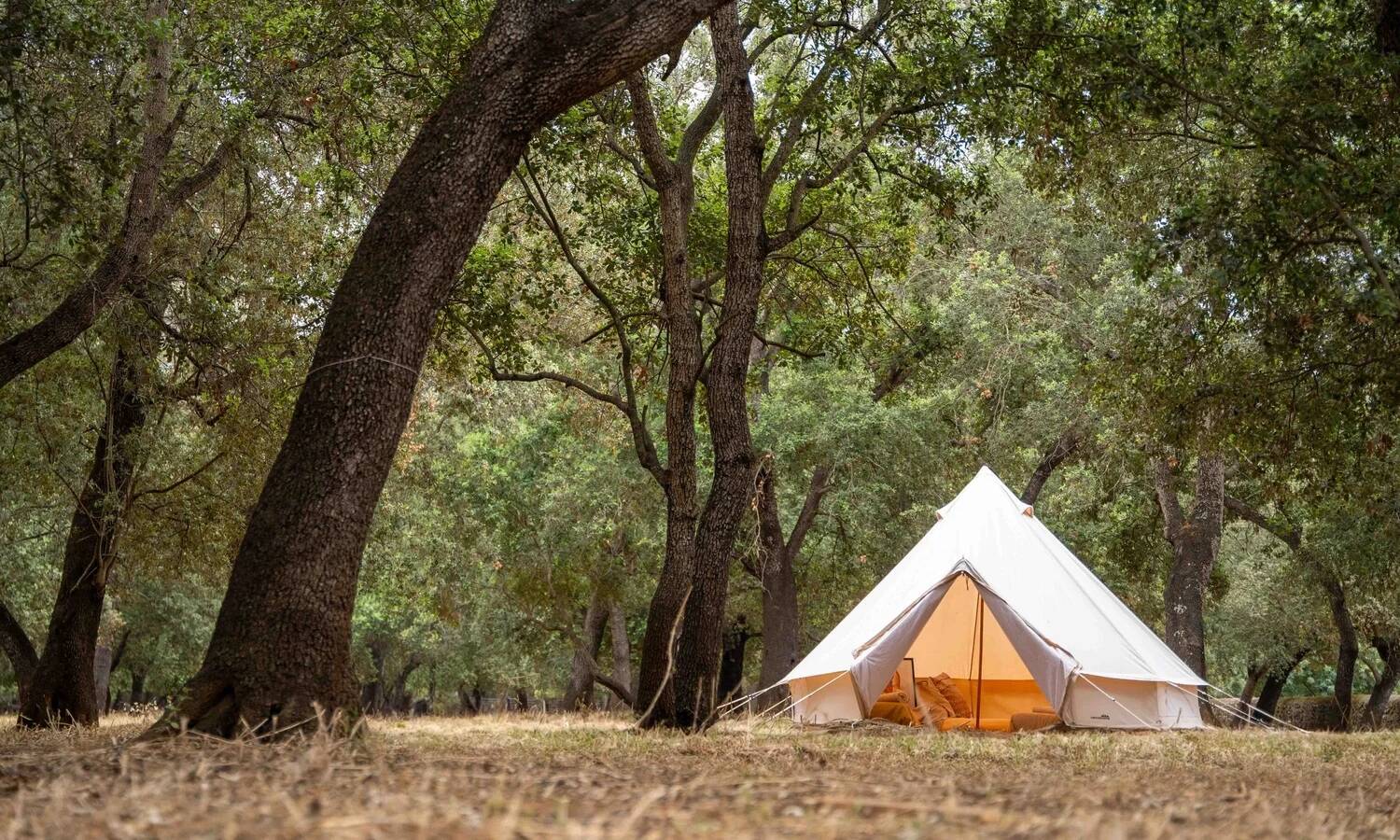 Foto: El ‘glamping’ de Mallorca que no tiene una ubicación fija. (The Glamping)