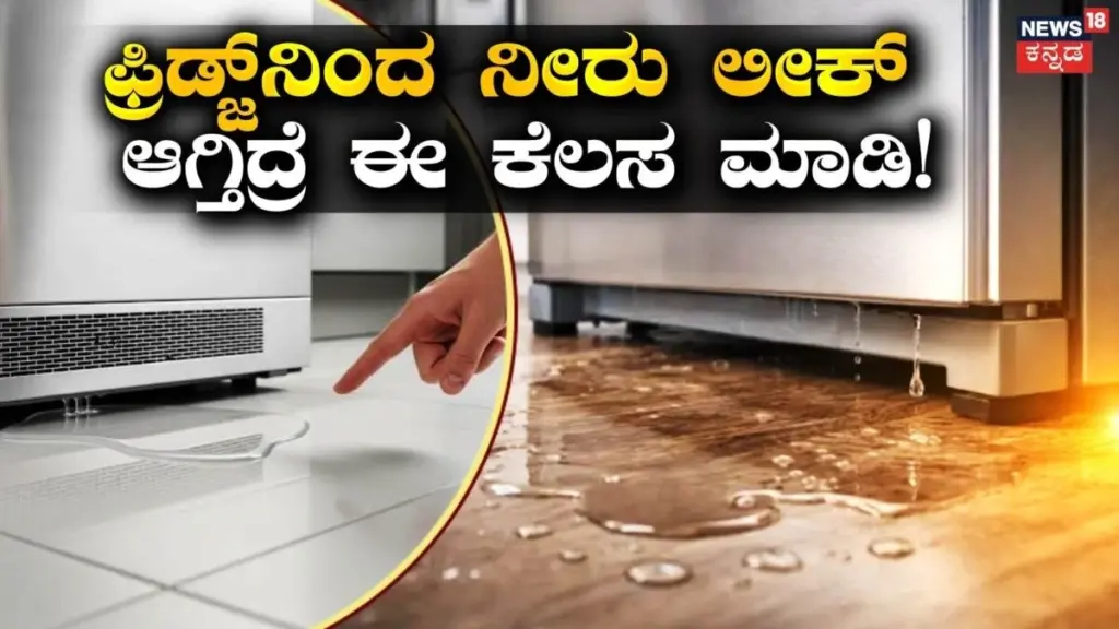 Fuga en tu Refrigerador: el truco de 5 minutos para salvar tu Energy Star