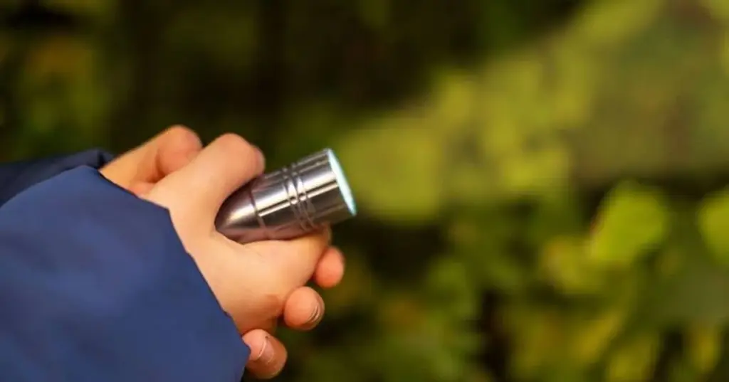 Gorgojo de la vid: el truco de Gardeners' World (BBC) para salvar tus plantas