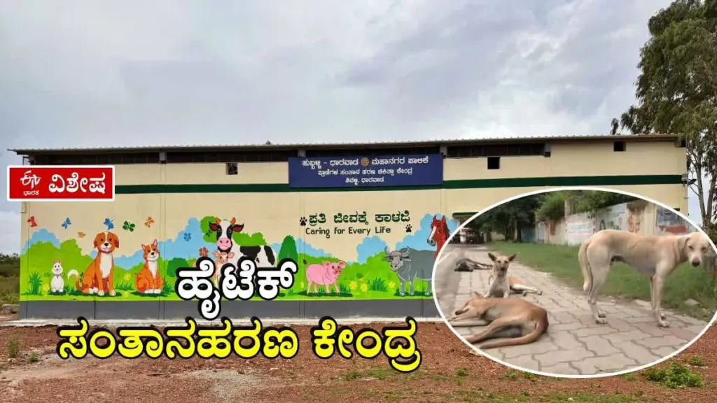 Hubli dice adiós a las jaurías: el plan de la Corporación Municipal de Hubli-Dharwad