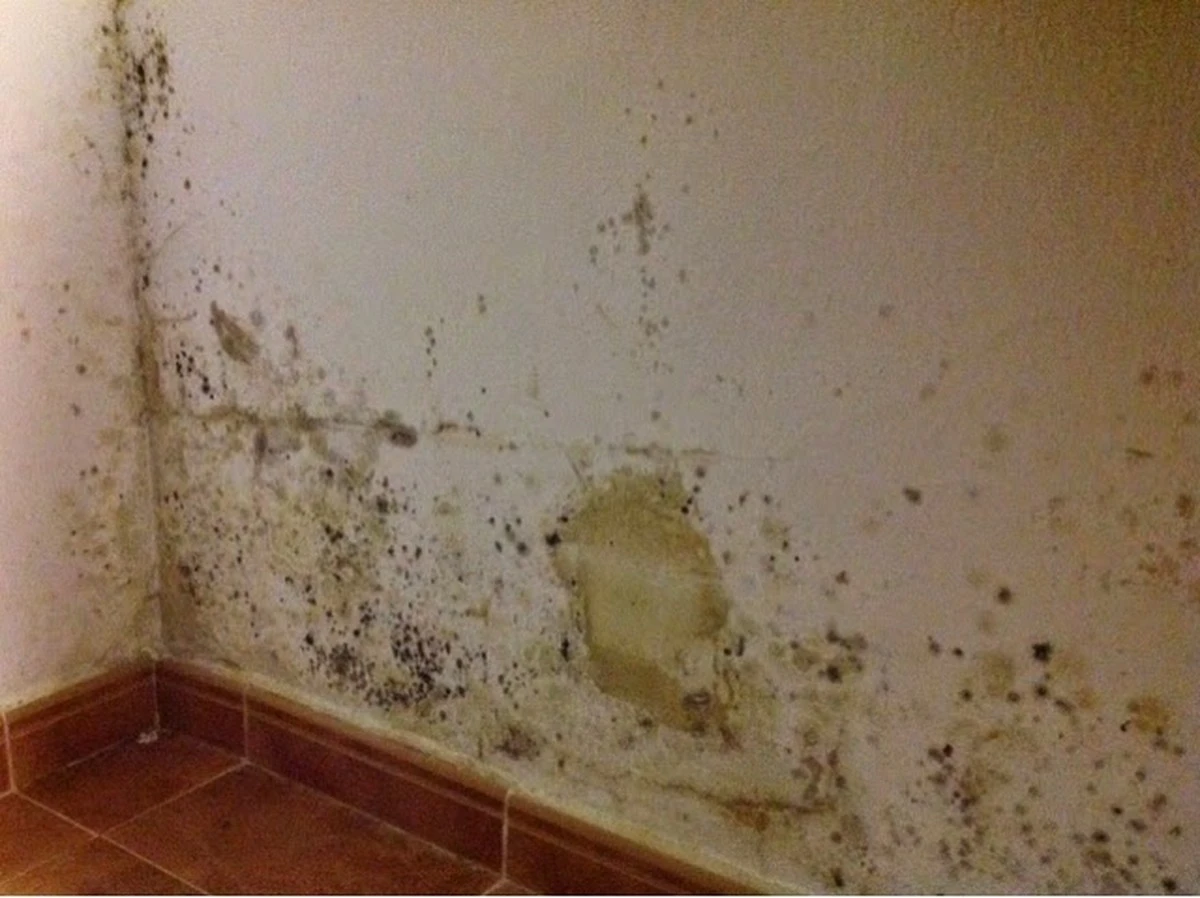 Humedad en el baño: el truco de 1 minuto con el ventilador de extracción - image 1