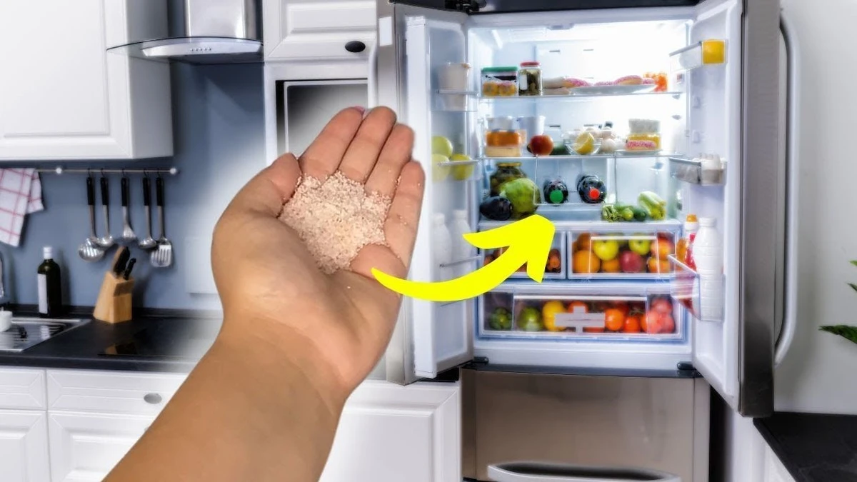 Humedad y malos olores en el refrigerador: el truco de la sal que salva tu comida - image 1