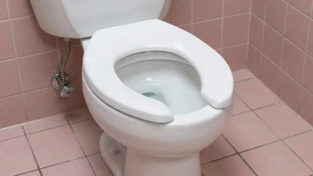 IAPMO revela el secreto del asiento de frente abierto: higiene pura en el baño