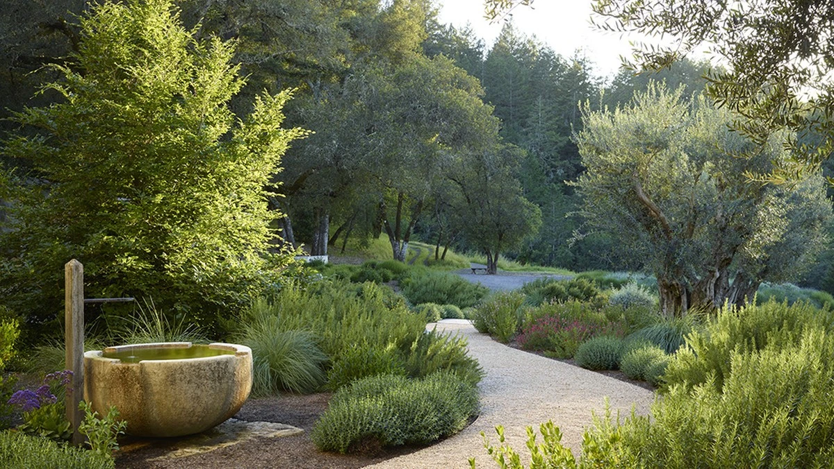 Jardín de escombros a oasis: el truco de Barbara para renovarlo sin máquinas - image 1