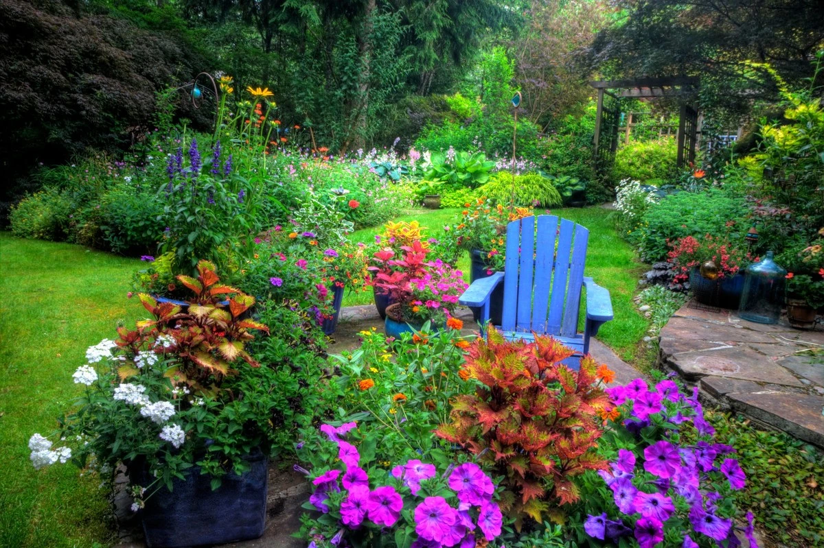 Jardín en junio: el truco de la RHS y Reino Unido para salvar tus flores - image 1