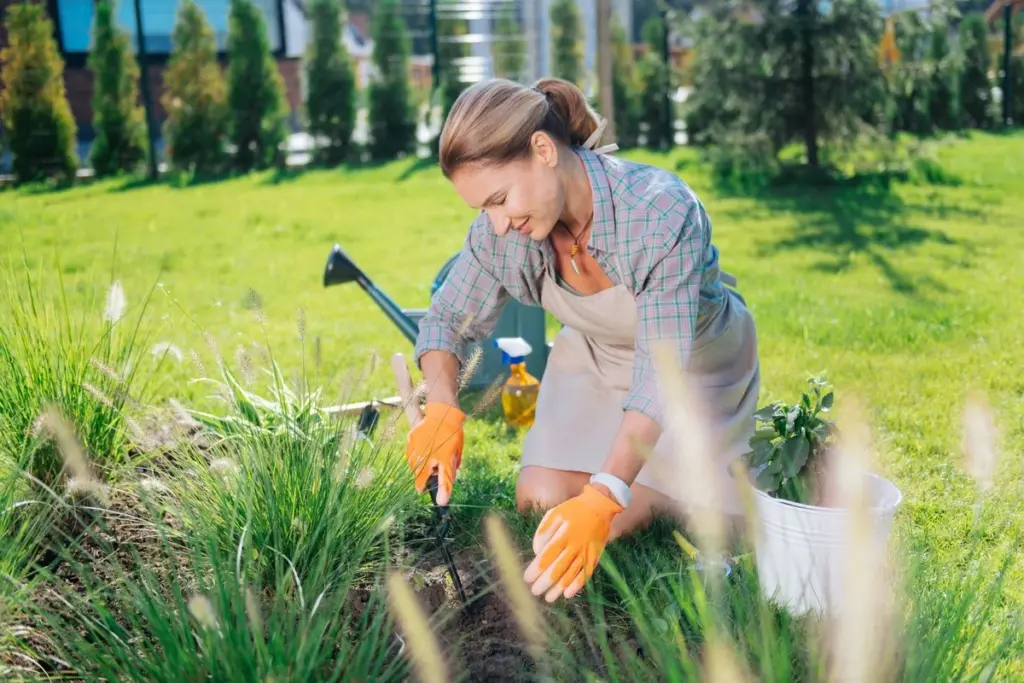Jardinería en Junio: el truco de las 4 a.m. para salvar tus plantas