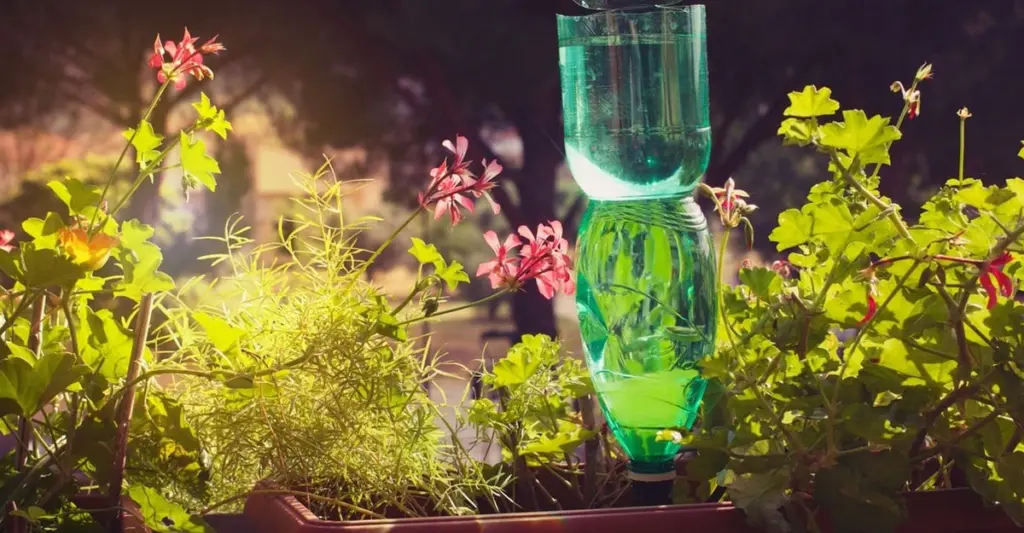 Jardinería inteligente: el truco del papel para salvar tu jardín en la terraza
