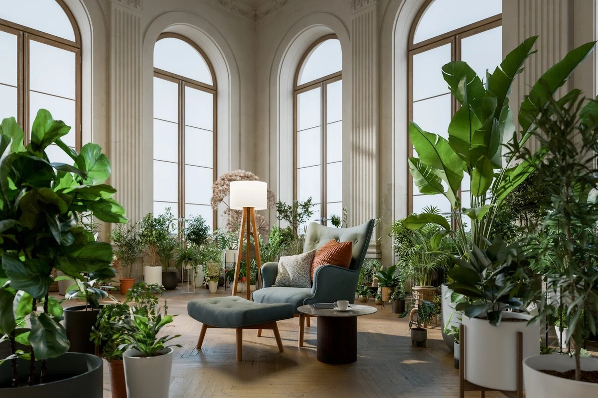 Jardinería sin esfuerzo: las 8 plantas que purifican tu hogar casi sin riego - image 1