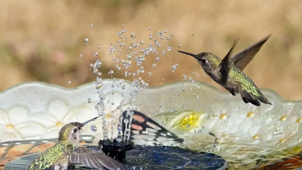Jardín fresco por 10€: el truco de ALDI con fuente solar que atrae aves