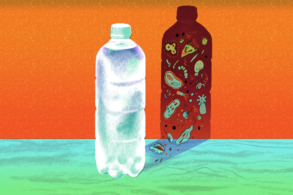 Limpieza de tu botella de agua: el truco del arroz para eliminar bacterias - image 1