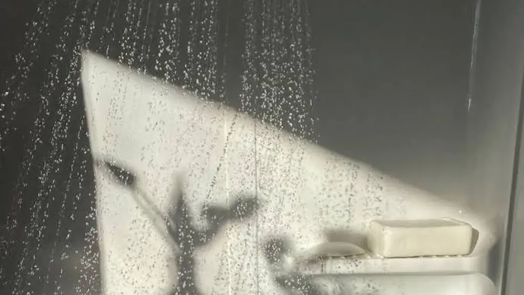 Moho en las juntas: el truco experto para dejar tu cuarto de baño blanco en 20 minutos