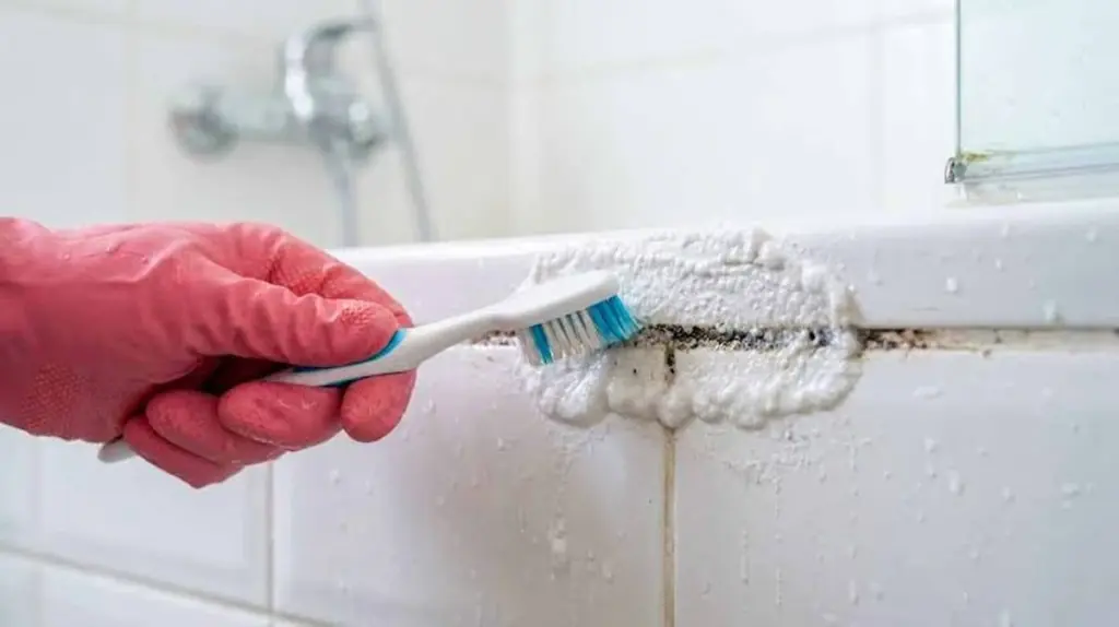 Moho negro en la silicona: el truco de 30 minutos para un baño blanco