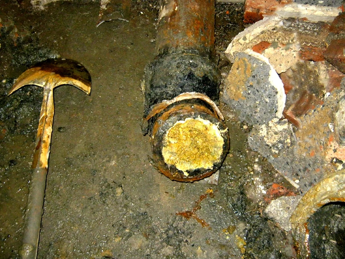No tires la sopa al inodoro: el error que arruina tus tuberías - image 1