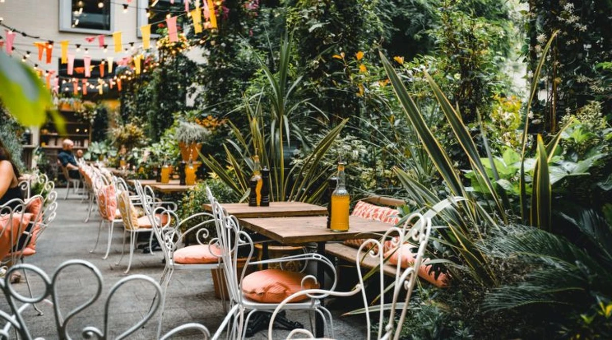 Ola de calor: vive este oasis en Avli (el jardín) y Párko Daváki 78 - image 1