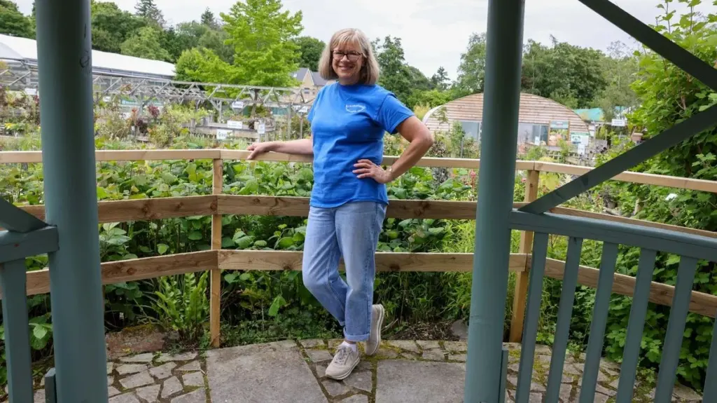 Paz en Bristol: del centro de jardinería Brackenwood al salón de té del jardín