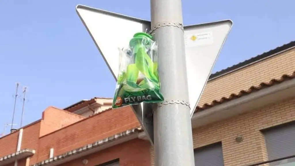 Plaga de moscas en Hostalric (Girona): el método para proteger tu casa hoy