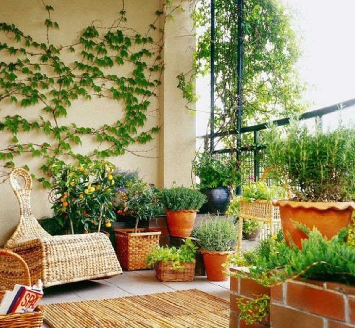 Plantas de interior: el truco del Lirio de la paz para enfriar tu casa - image 1