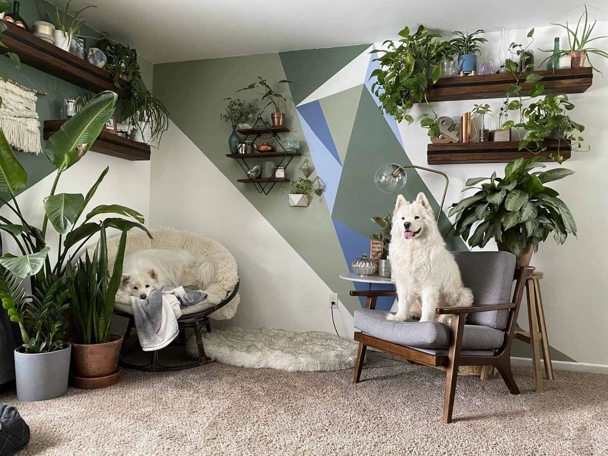 Plantas de sombra: el truco de la Royal Horticultural Society para salones oscuros - image 1