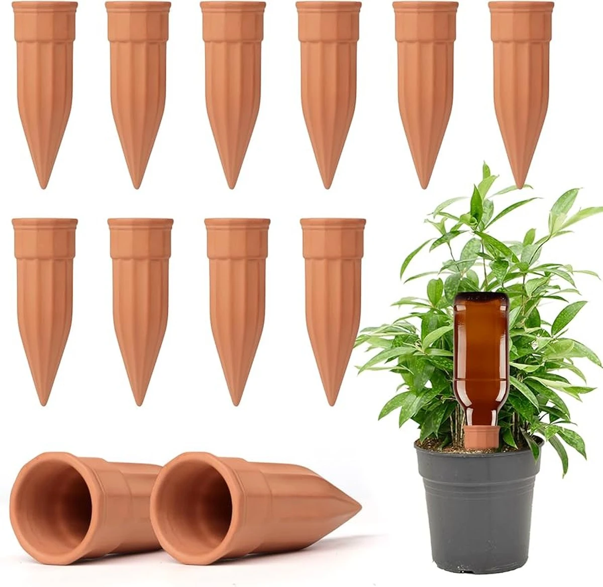 Plantas siempre vivas: el Ayudante de riego de arcilla de Tchibo que ahorra un 70% de agua - image 1