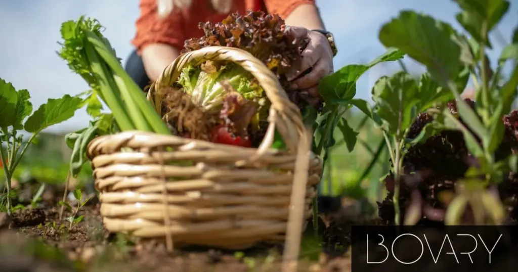 Qué plantar en junio: el truco de experto para un jardín explosivo este verano