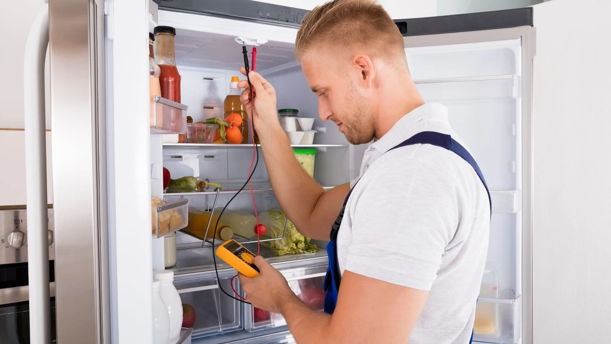 Refrigerador eficiente: el truco al limpiar para ahorrar Energía eléctrica - image 1