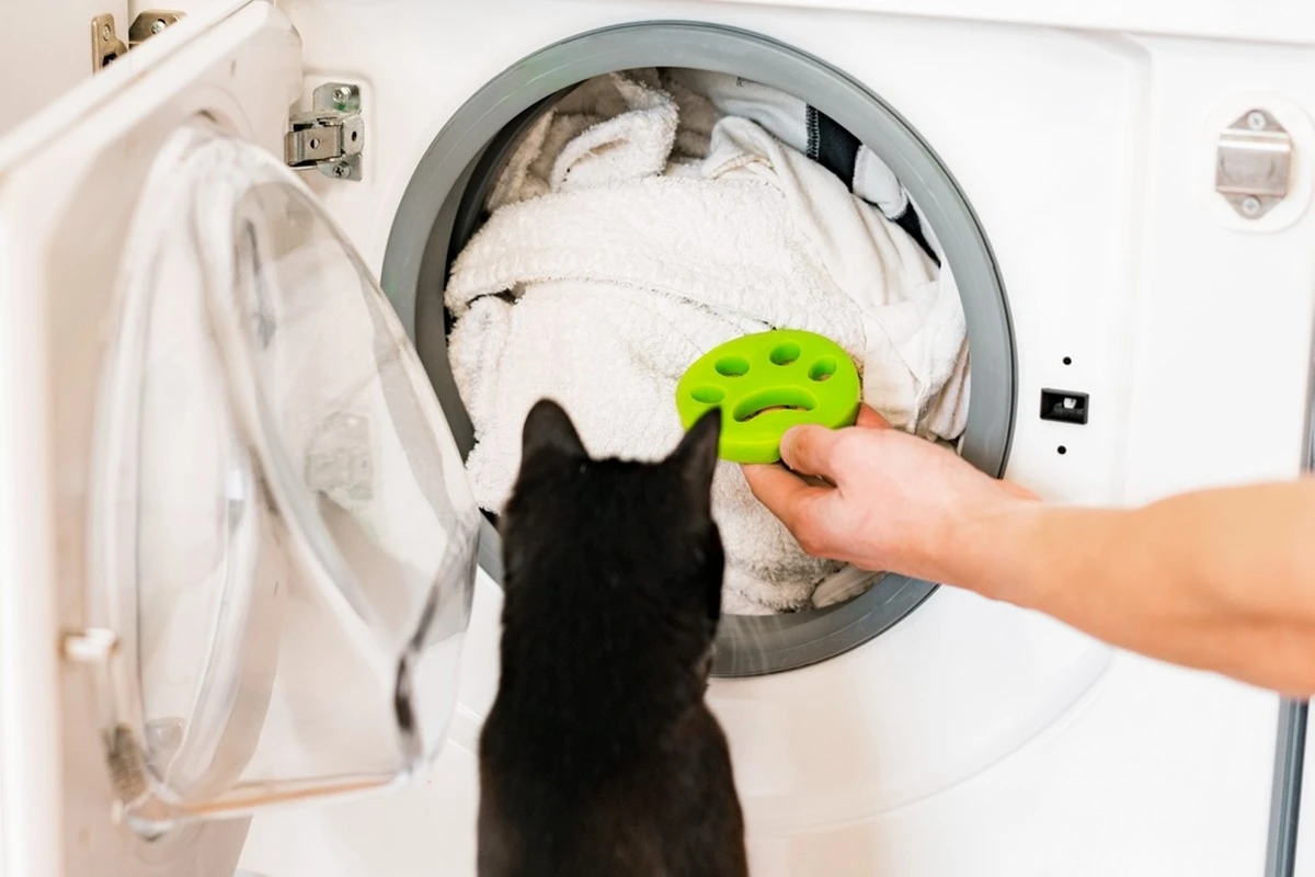 Ropa de mascotas: el grave error de lavado que Rie Hirashima pide evitar - image 1