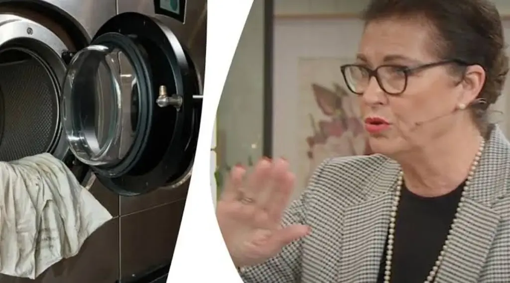 Ropa sucia: Marléne Eriksson revela en TV4 por qué limpiar el tambor antes