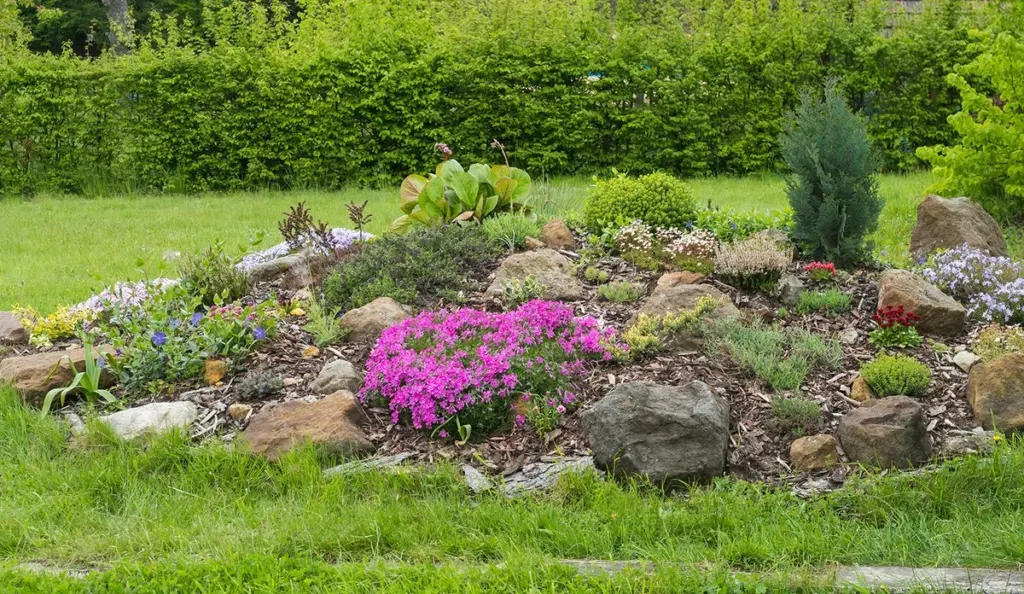 ¿Tierra seca? Crea un Jardín de rocas con Plantas perennes que no mueren