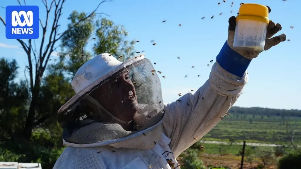 Varroa destructor en Australia: el gran cambio para salvar las colmenas sin químicos