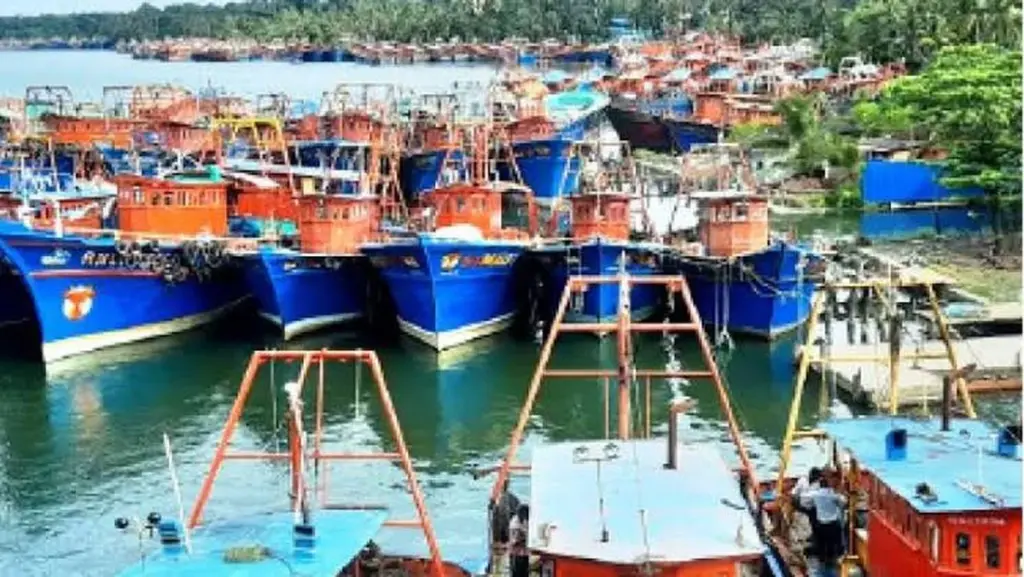 Veda en Trivandrum: la prohibición de pesca de arrastre que encarecerá tu mesa