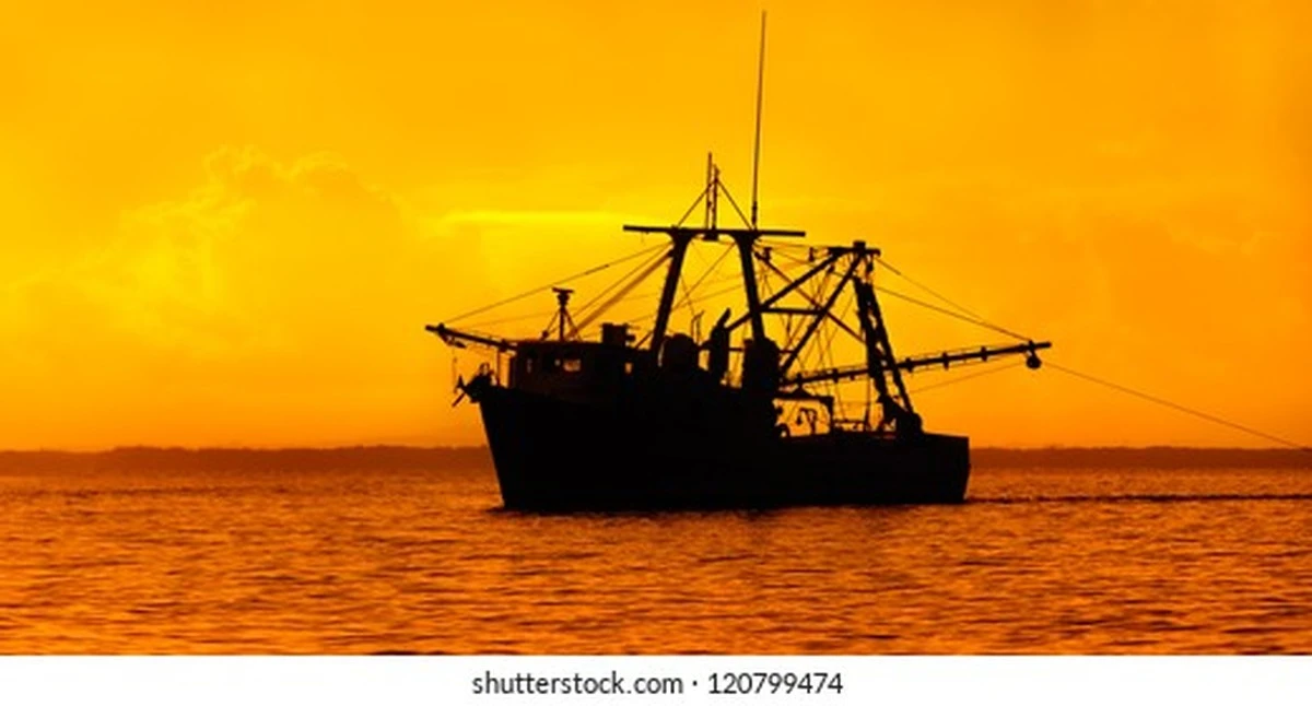Veda en Trivandrum: la prohibición de pesca de arrastre que encarecerá tu mesa - image 1