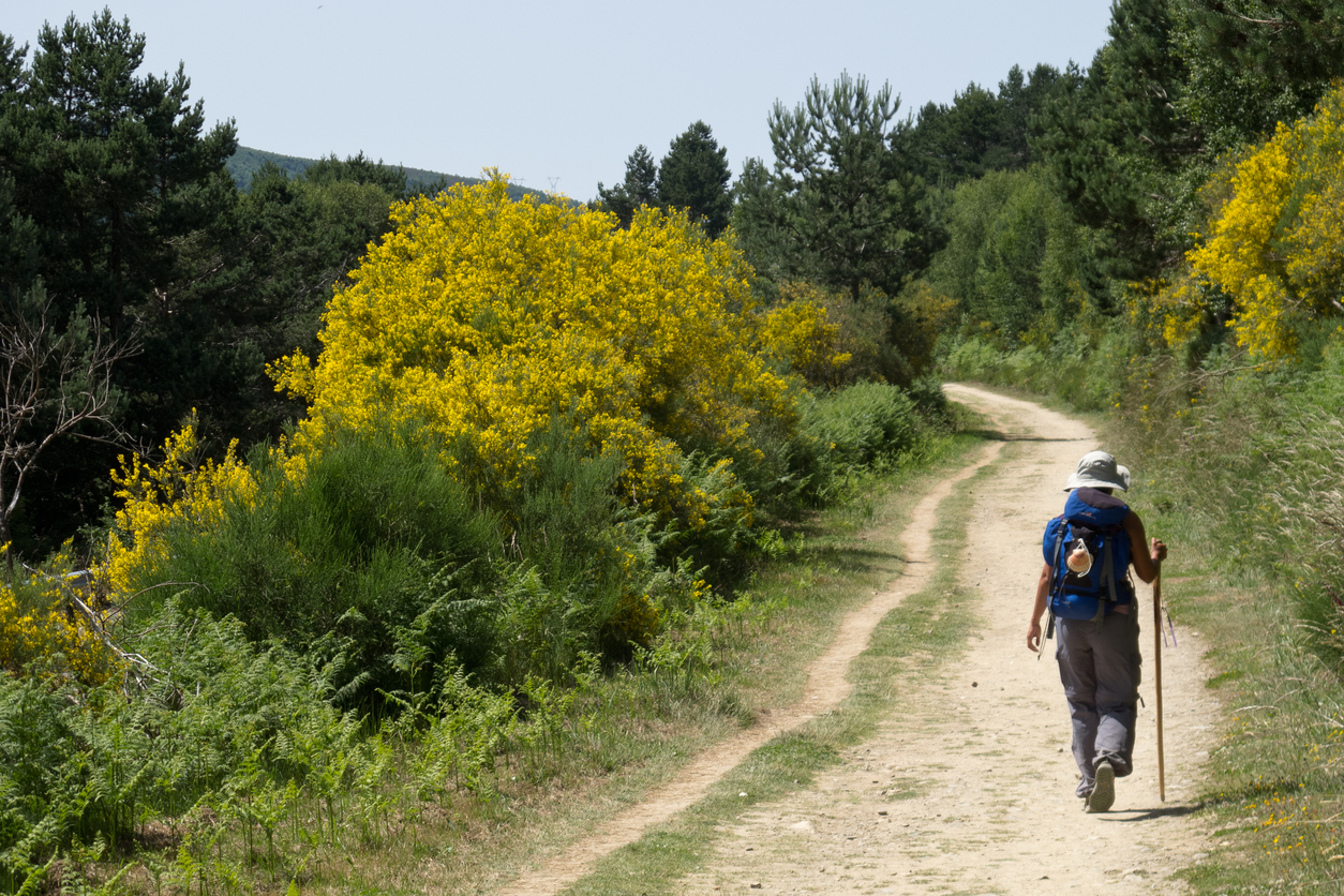 Un peregrino caminando (iStock)