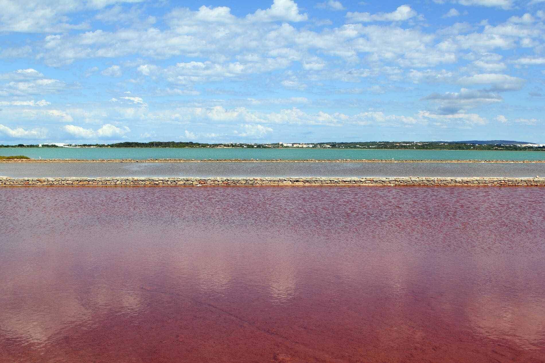 Foto: El parque natural entre dos islas en España. (Turisme de Formentera)