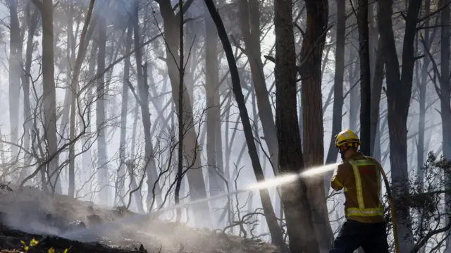 Un bombero rocía agua sobre un incendio en un bosque en España.