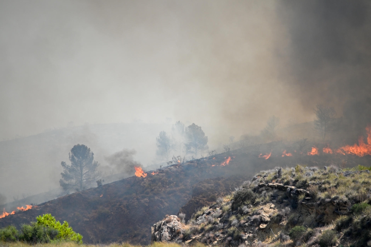 incendio en Los Gallardos (Almería)