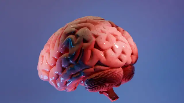 Una ilustración rosa en 3D de un cerebro humano bañado en luz azul y blanca está ambientada sobre un fondo azul