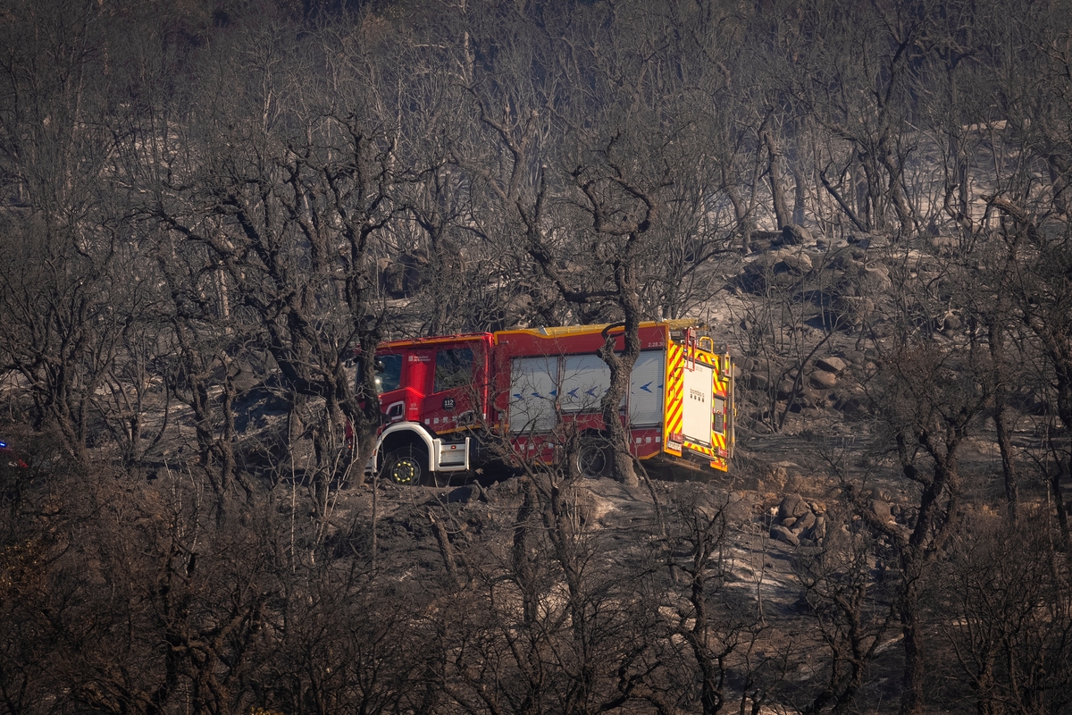Un camión de bomberos cruza una zona arrasada por las llamas en la localidad de Calonge este sábado por el incendio forestal que comenzó ayer en La Bisbal de l'Empordà (Girona). (EFE/David Borrat)