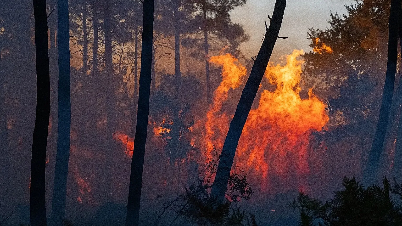 Wildfires advance near Le Proge region, western France, Thursday, July 23, 2026.