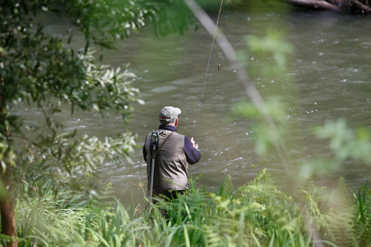Un hombre durante el comienzo de la campaña de pesca de salmón, en el río Eo, a 13 de abril de 2025, en San Tirso de Abres, Asturias (España). (Carlos Castro/Europa Press)