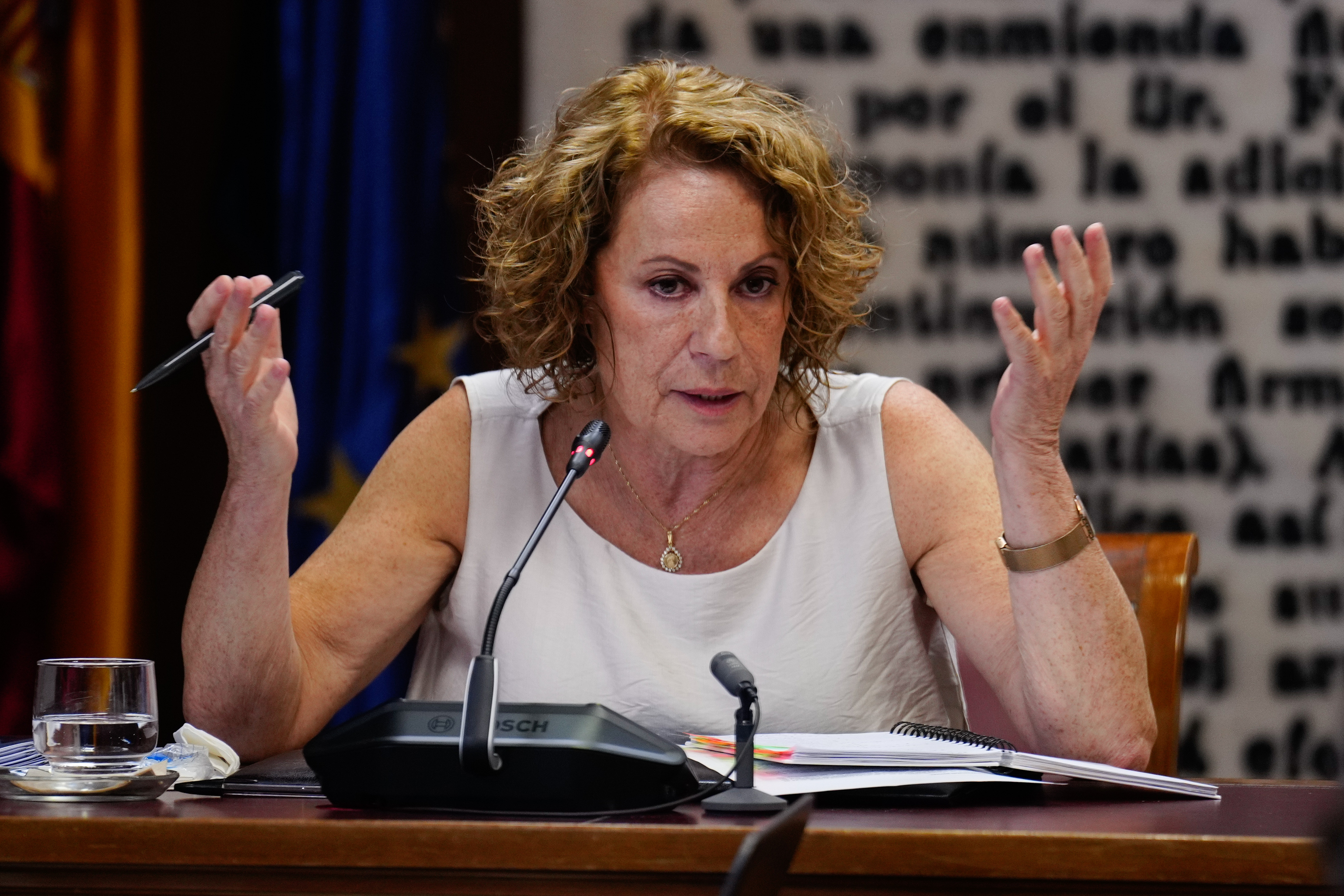 La ex directora de la Agencia Estatal de Administración Tributaria, Soledad Fernández, el pasado lunes en el Senado