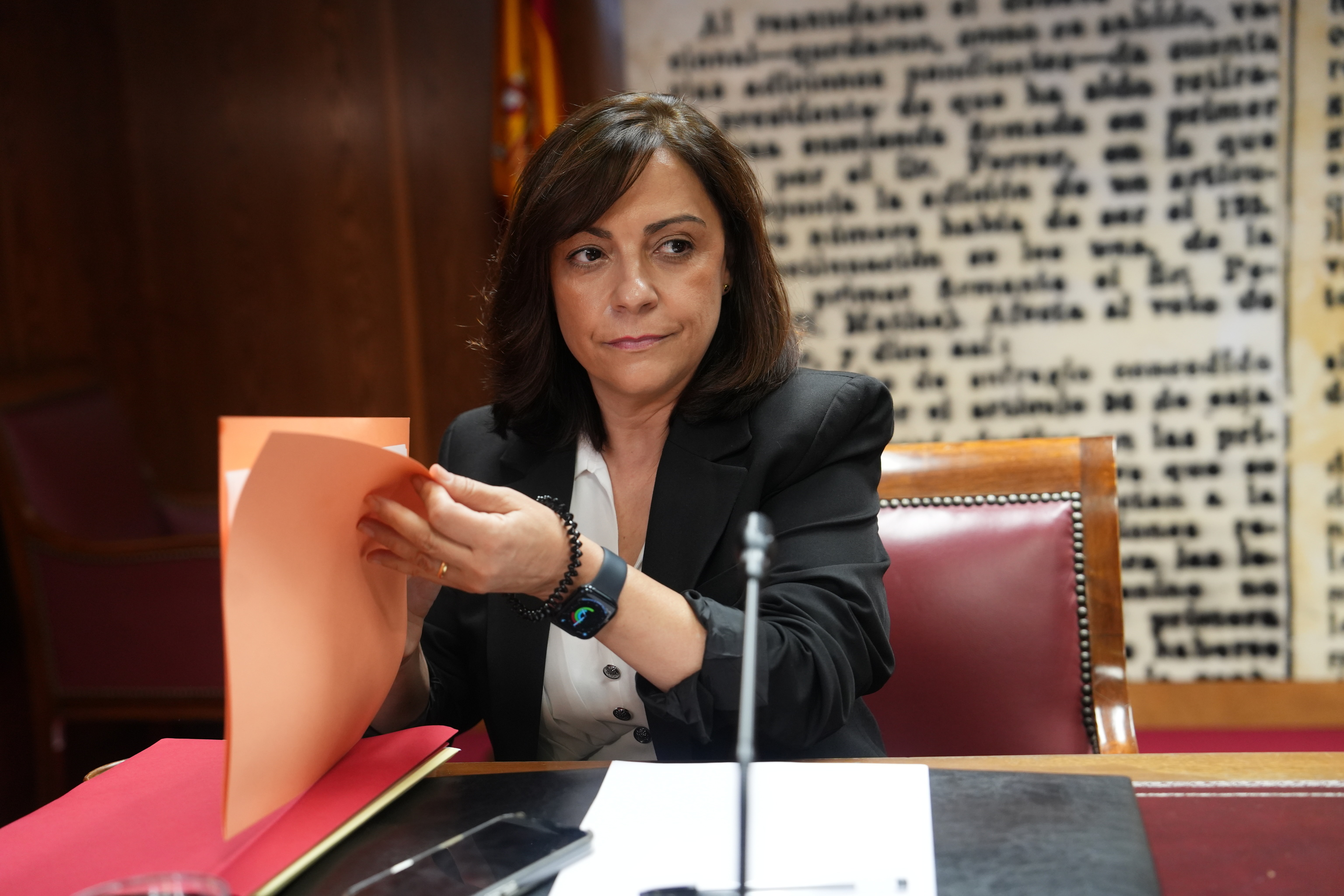 La gerente del PSOE, Ana María Fuentes, compareciendo ante el Senado