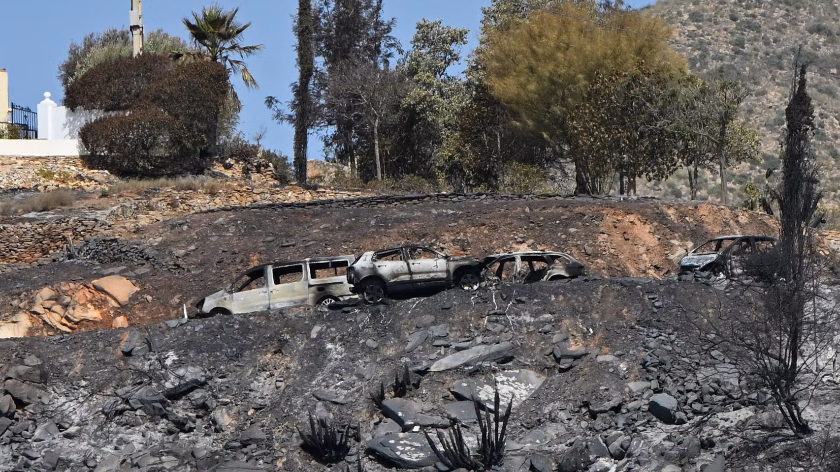Varios coches calcinados en el incendio en Almería. 