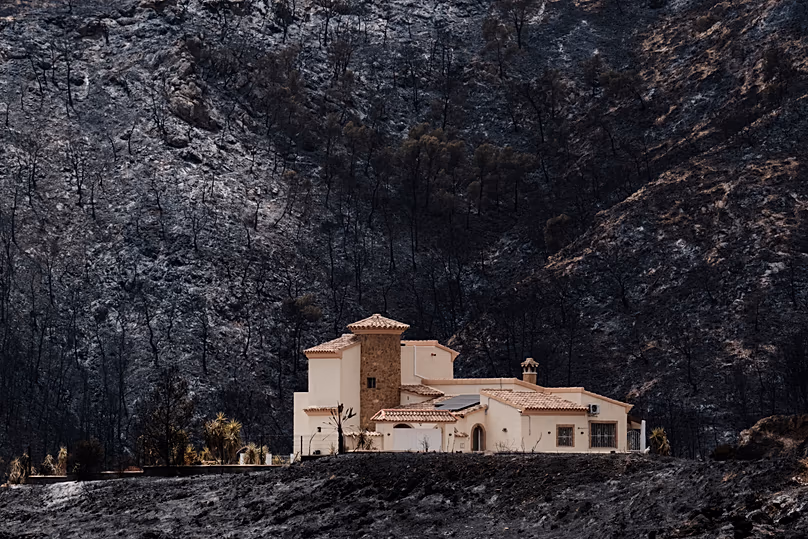 A view of a burnt area affected by wildfires in Bedar, 11 July, 2026