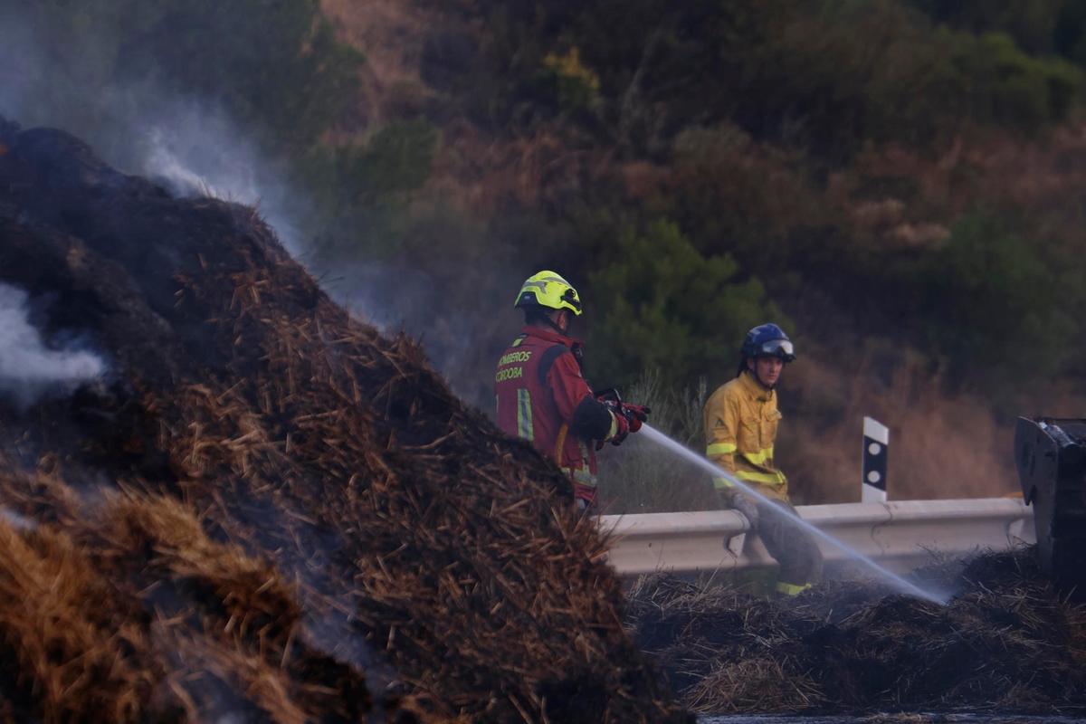 Miembros del Cuerpo de Bomberos de Córdoba durante los trabajos de extinción. (EFE/Salas)