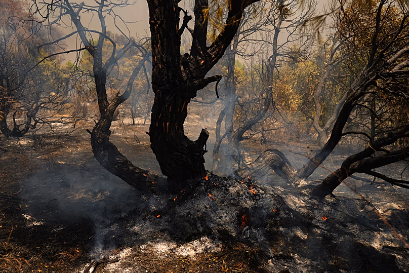 Smoke rises from the remains of a tree caught in a wildfire in San Martin de Valdeiglesias, west of Madrid, Spain, Sunday, July 26, 2026
