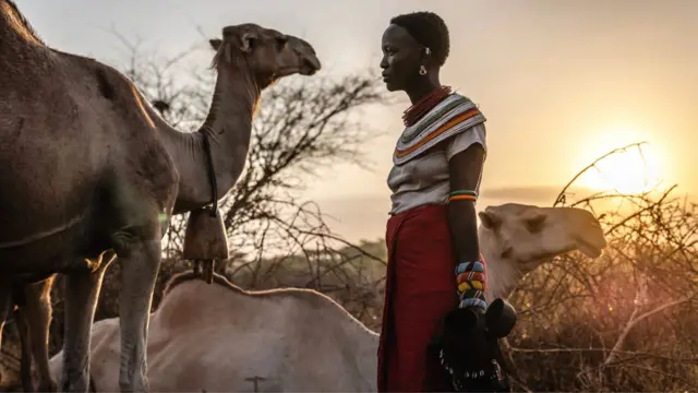 Una pastora joven en Kenia con collares y brazaletes tradicionales se dispone a ordeñar camellos al amanecer