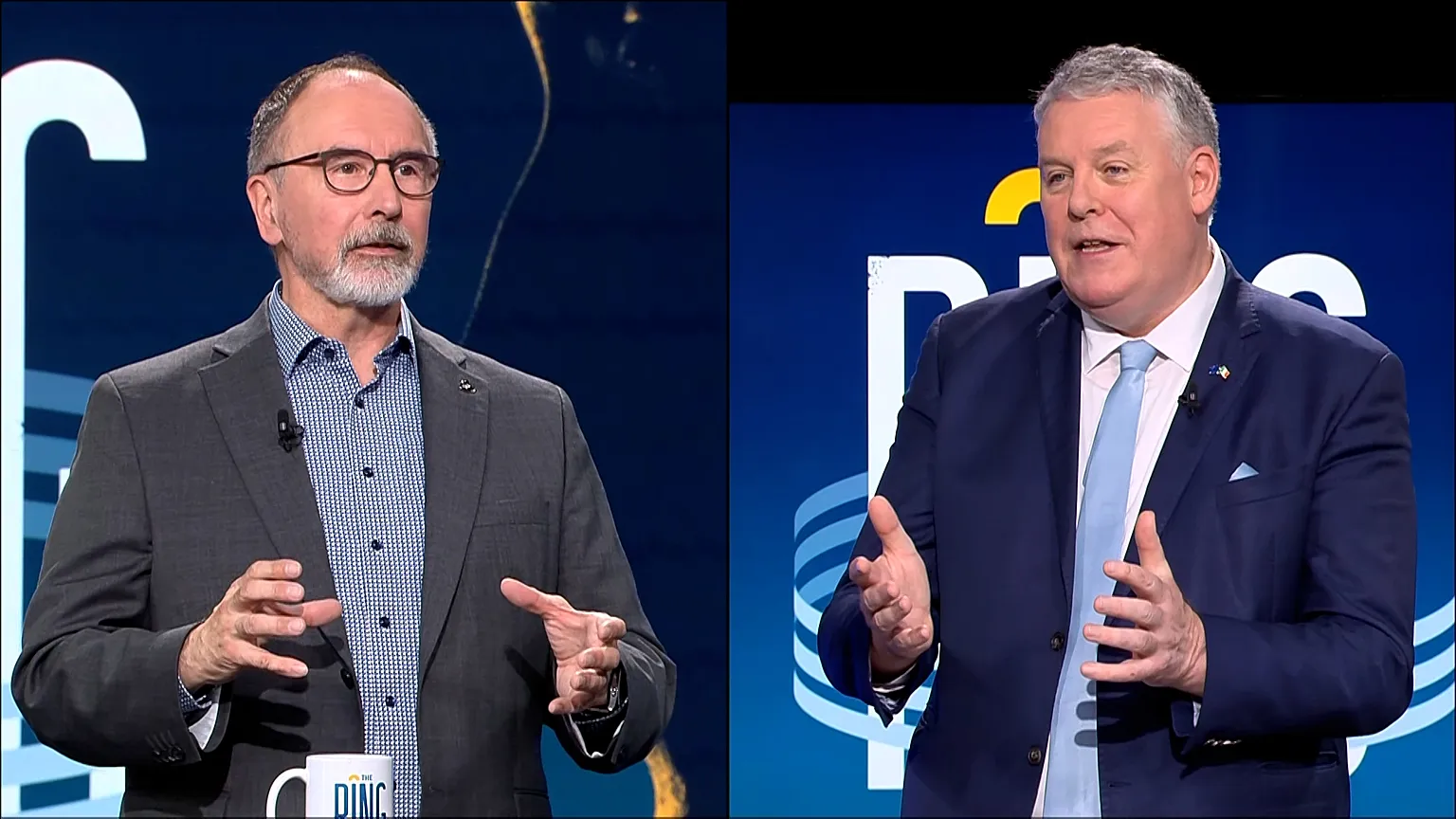 MEPs Ciaran Mullooly and Pekka Toveri in The Ring