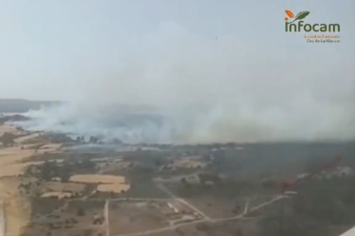 Incendio en Selas, Guadalajara.